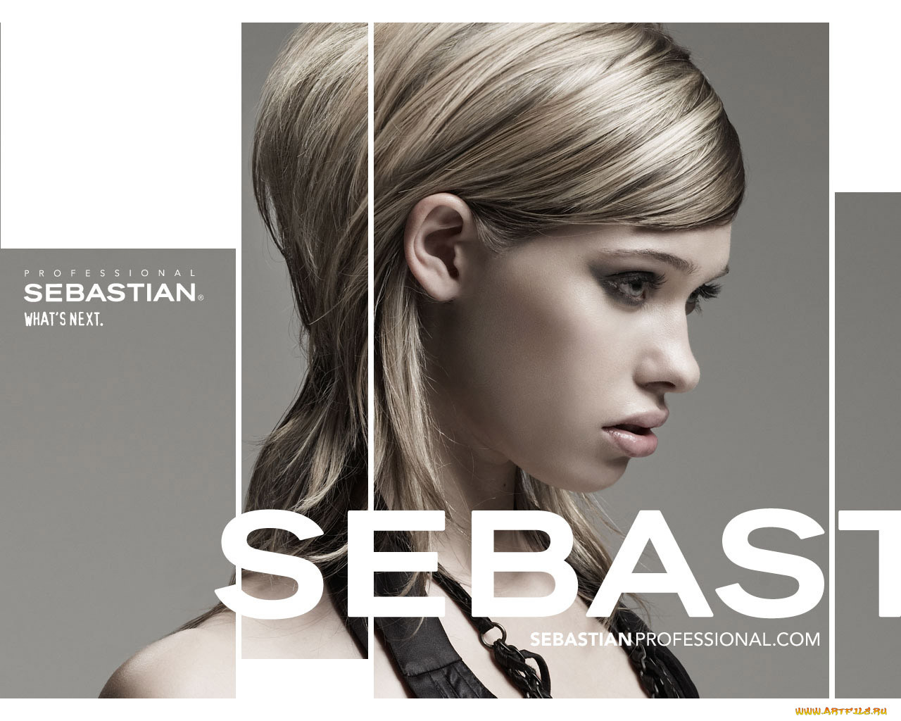 , sebastian